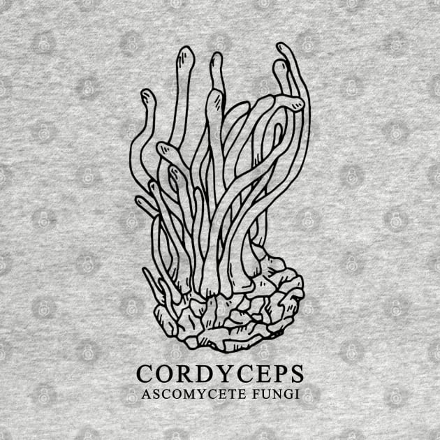 Cordyceps Ascomycete Fungi by valentinahramov